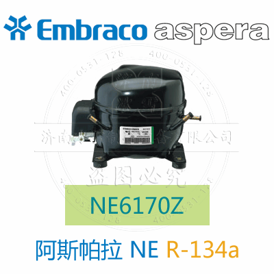 NE6170Z